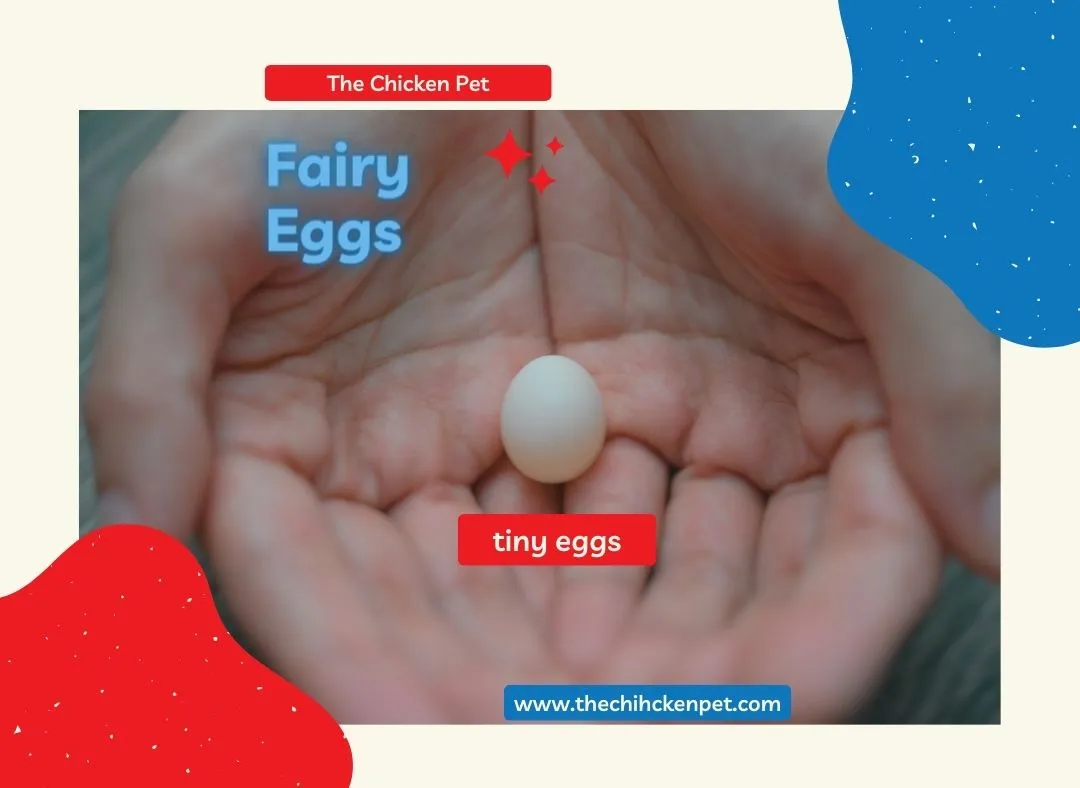 fairy eggs