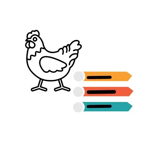 Brahma Characterstics