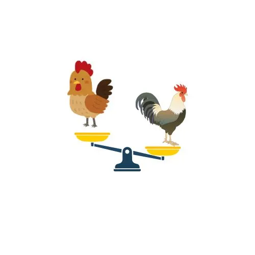 Chicken Breed Comparasion